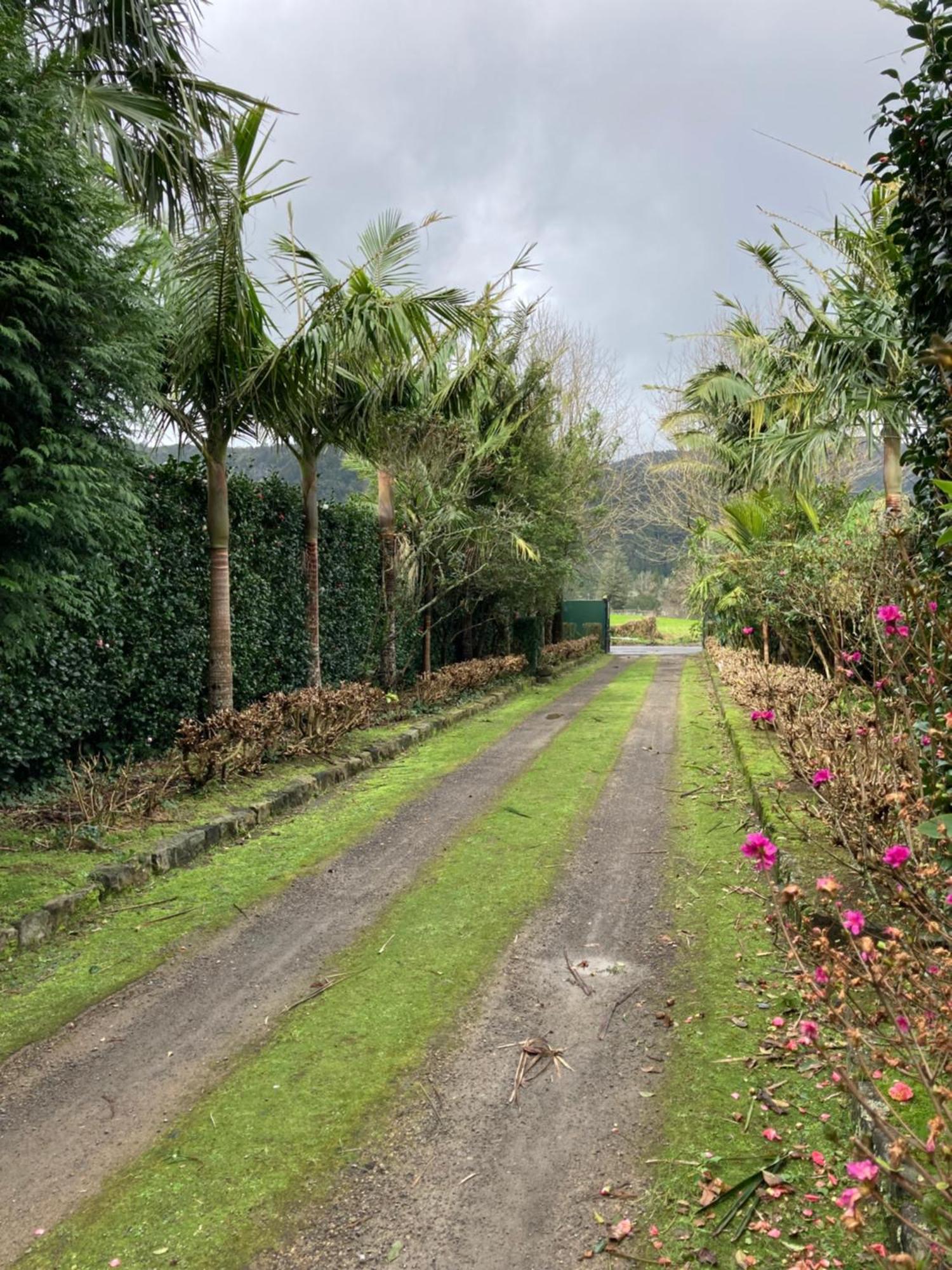 Quinta De Santana - Queimadas Furnas  Exteriör bild